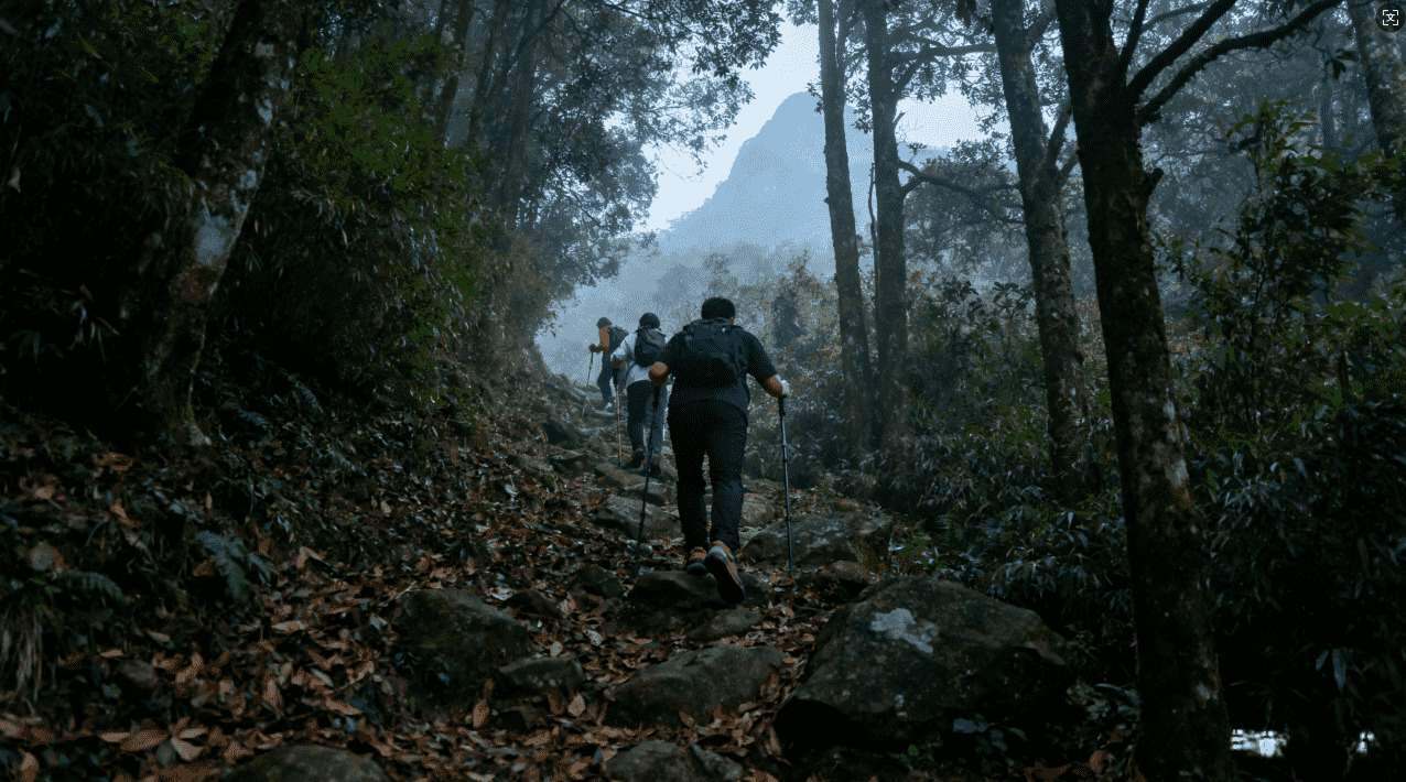 Ins加速器黑洞加速器免费永久免费体验推荐